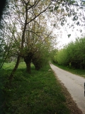 20190428_091541_Burst01.jpg