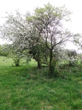 20190428_100927.jpg
