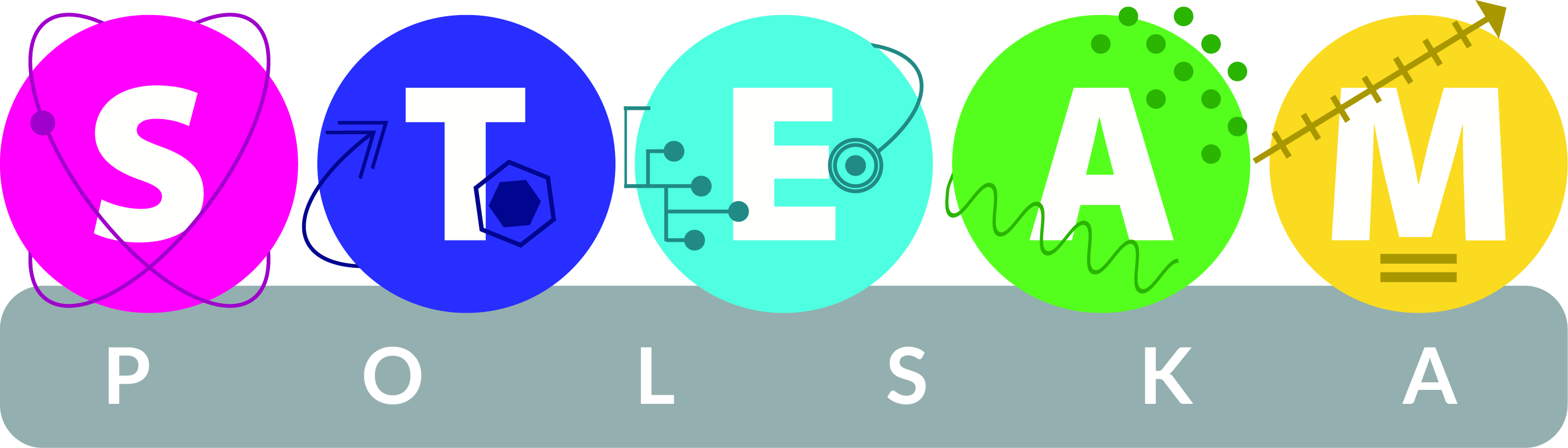 1. steam polska logo by kaja