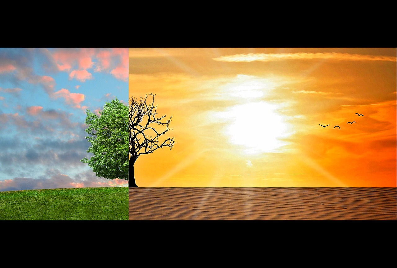 climate change 2063240 12801